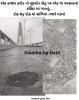 mygov_172196294644592451