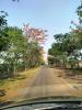 mygov_1747464443187631