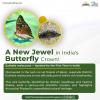 mygov_17477610745949841
