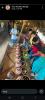 mygov_17492015091176159