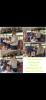 mygov_1776963992120130961 mygov_1776963992120130961